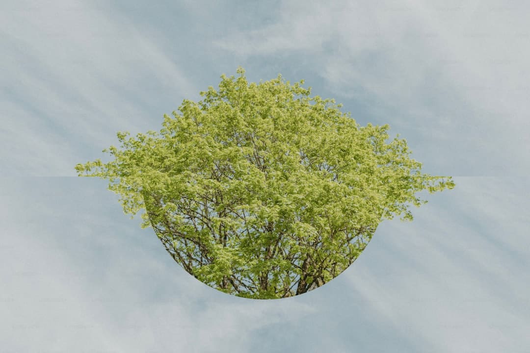 教师普巴：期望更多人反哺家园